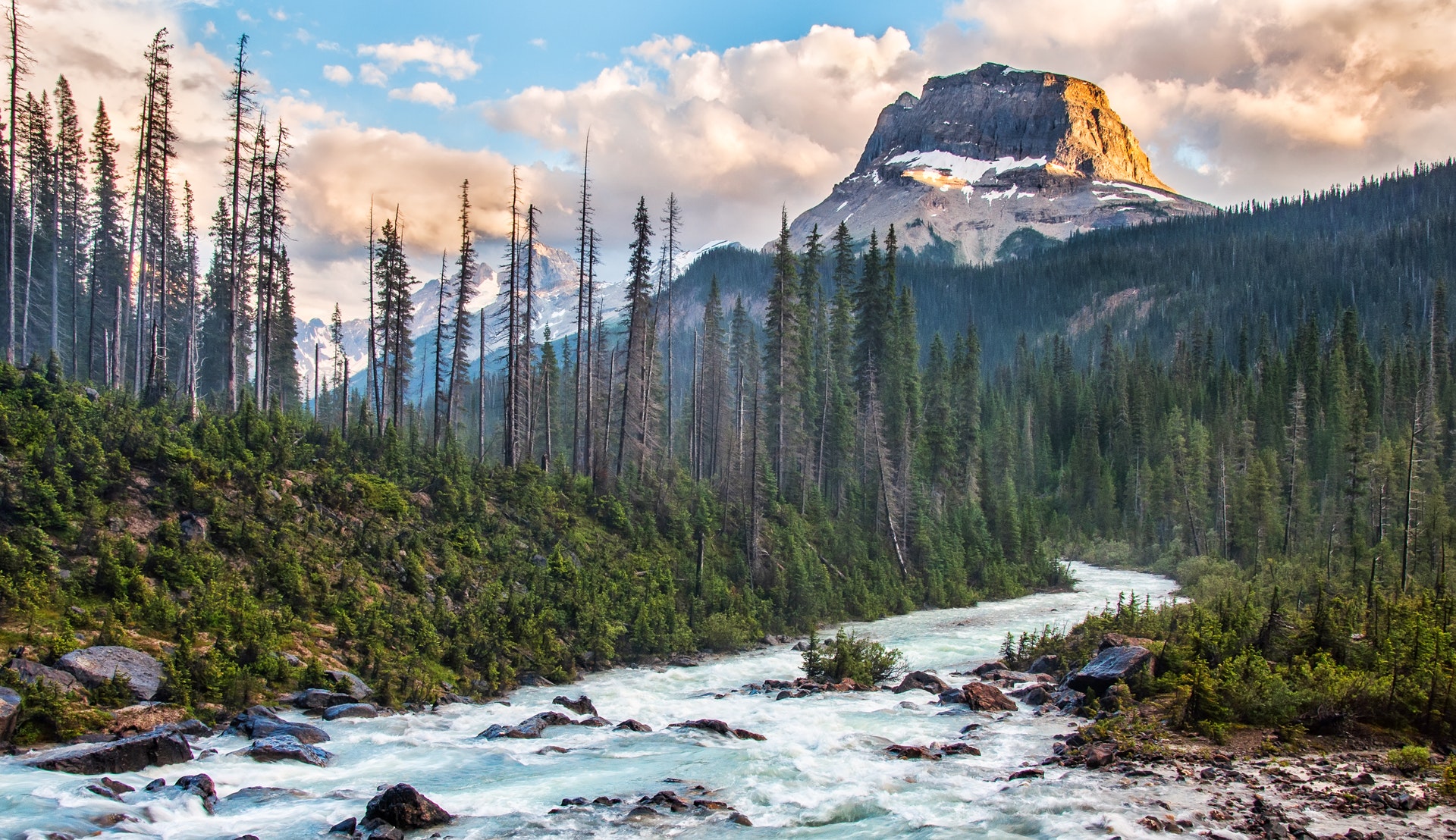 Открой природа. Yoho National Park Takakkaw Falls. Береговые леса материковой британской Колумбии. Горный лес у бурного моря. Дорога в парк Йохо.